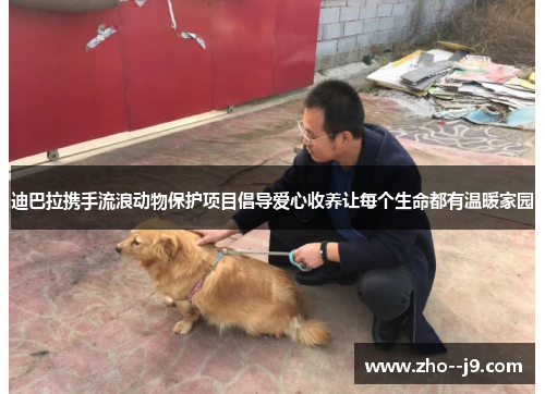 迪巴拉携手流浪动物保护项目倡导爱心收养让每个生命都有温暖家园