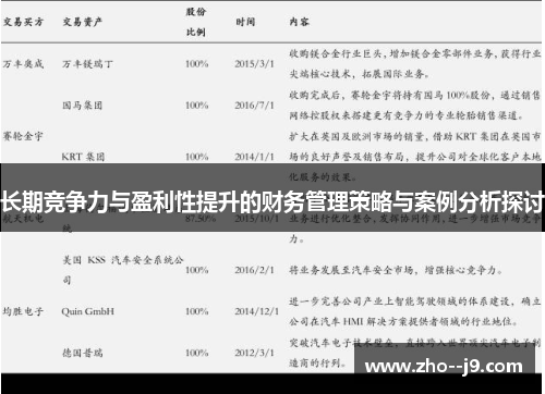 长期竞争力与盈利性提升的财务管理策略与案例分析探讨 长期竞争力与盈利性提升的财务管理策略与案例分析探讨