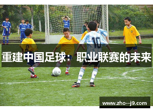 重建中国足球:职业联赛的未来 重建中国足球:职业联赛的未来